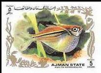 Madonna with hare, by Titian