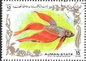 6ş Hussard - Hollande 1823