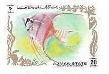 Munich 1972, Running