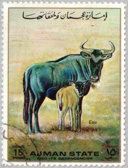 Young Woman; by Titian