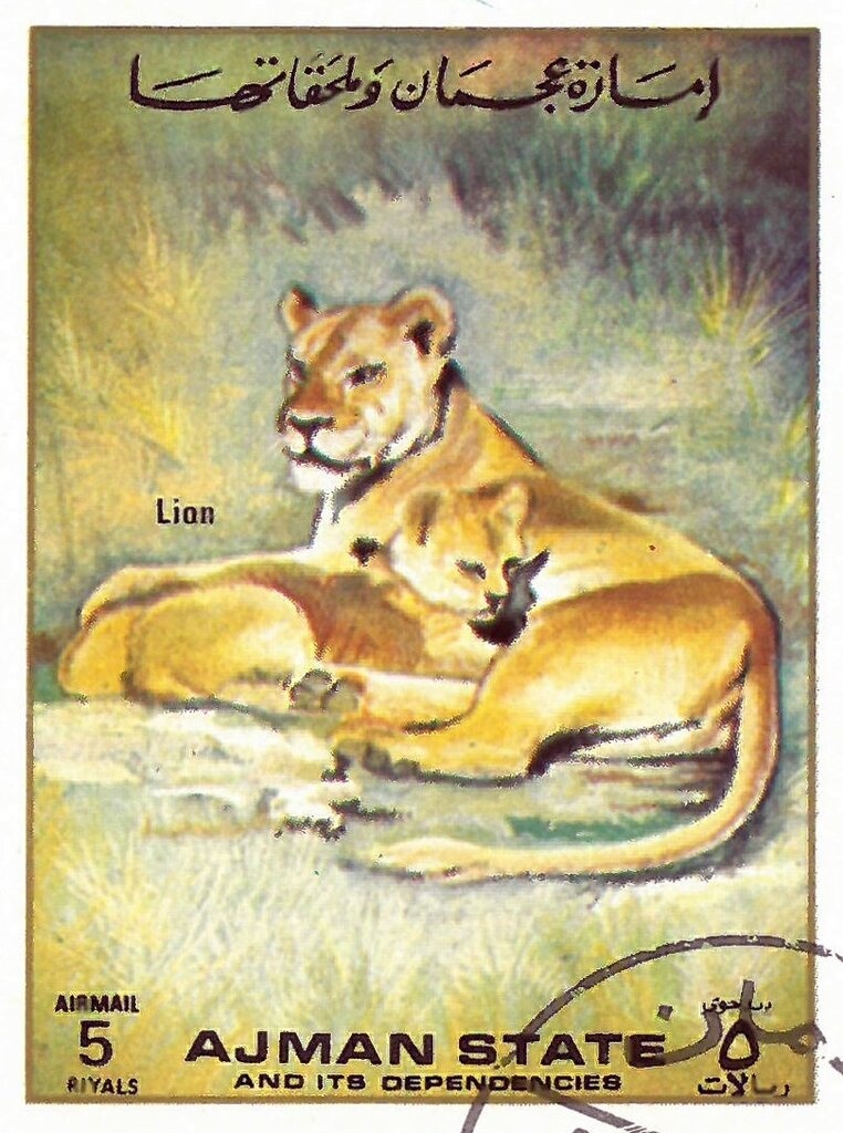 Kongoni (Alcelaphus cokii)