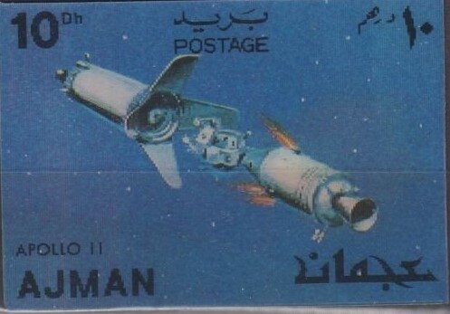 Dog and Cat (Canis lupus familiaris, Felis silvestris catus)