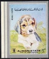 Great Orange-tip (Hebomoia glaucippe)