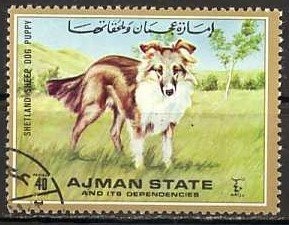 Balistapus undulatus