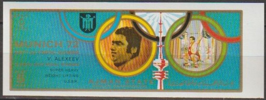 Southern Atlas (Epiphora bauhiniae)