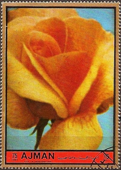 Collecting moon rocks