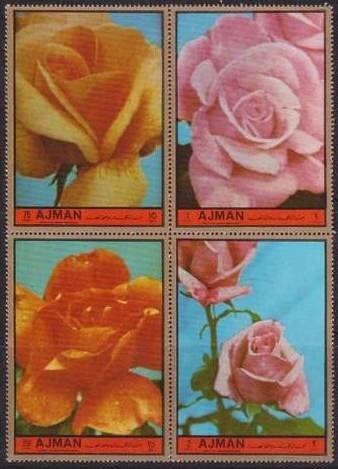 Astronaut in front of flag on the moon