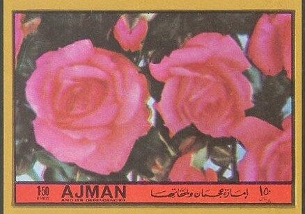 Wrestling and Boxing