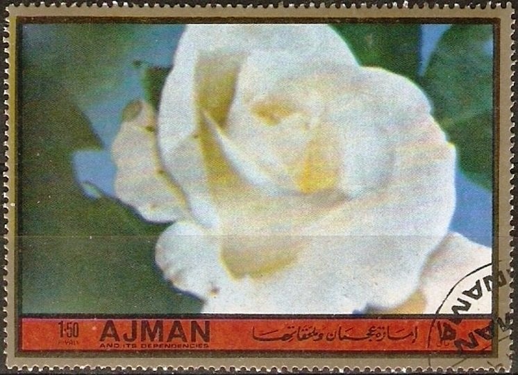 Giovanni Leone (1908-2001), Italian President