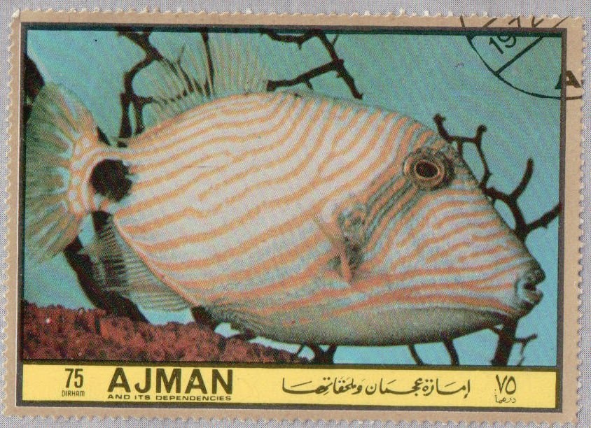 Holy Family with St. John and Catherine, by Paolo Veronese