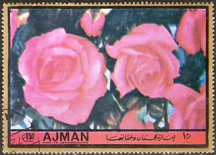 Boeing 747, Alitalia