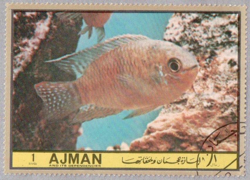 Young Woman; by Titian