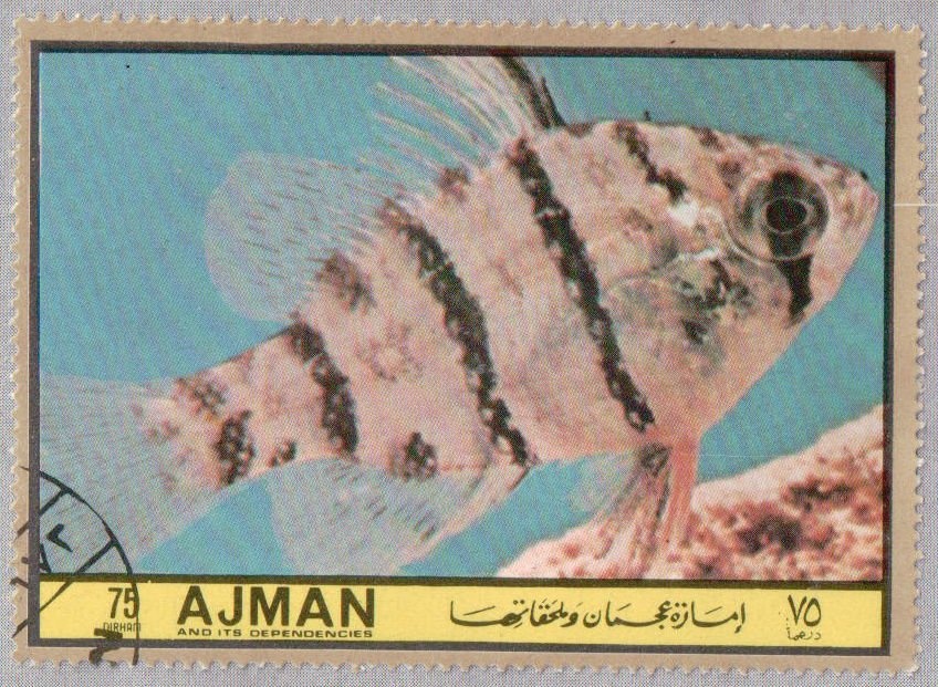 Stars and Stripes on the moon