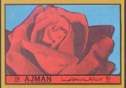 Napoleon at the Surrender on the Ulm, Charles Thévenin