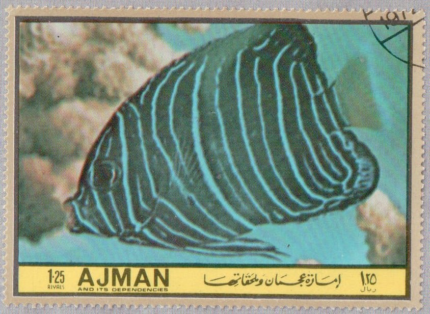 Adoration of the Shepherds by Jacopo Bassano