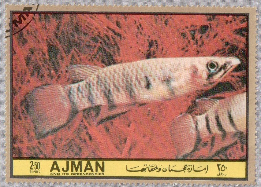 Cast of Chopin's Hand, Auguste Clésinger