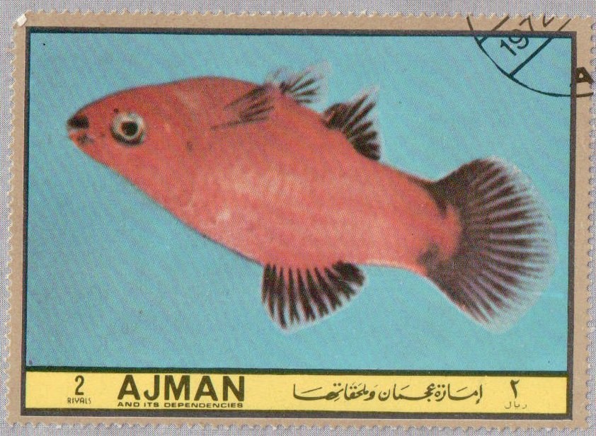 Napoleon and Queen Luisse of Prussia in Tilsit