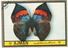 Charlotte of Savoy (1461-1483)