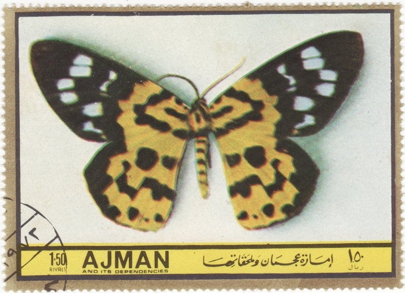 The Hour of the Dragon