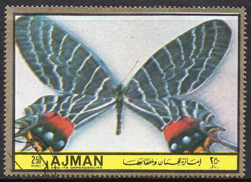 Wolfgang von Trips (1928-1961), Germany