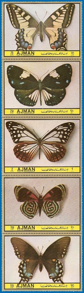 Golden Pheasant (Chrysolophus pictus)