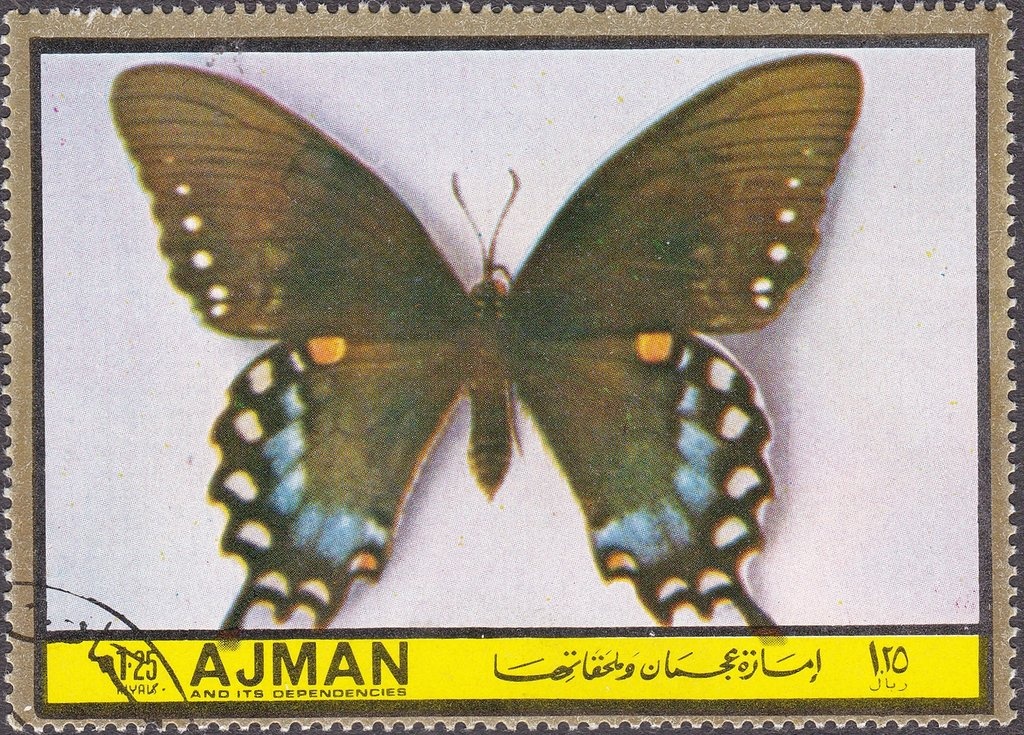 Transport of a Saturn V