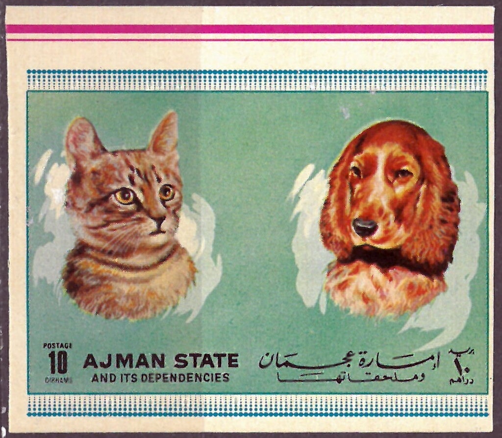 Northern Jungle Queen (Stichophthalma camadeva)