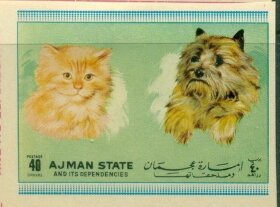 Cockchafer (Melolontha sp.)