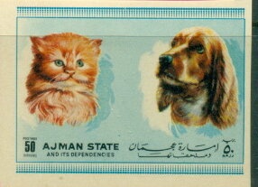 Jaguar (Panthera onca)