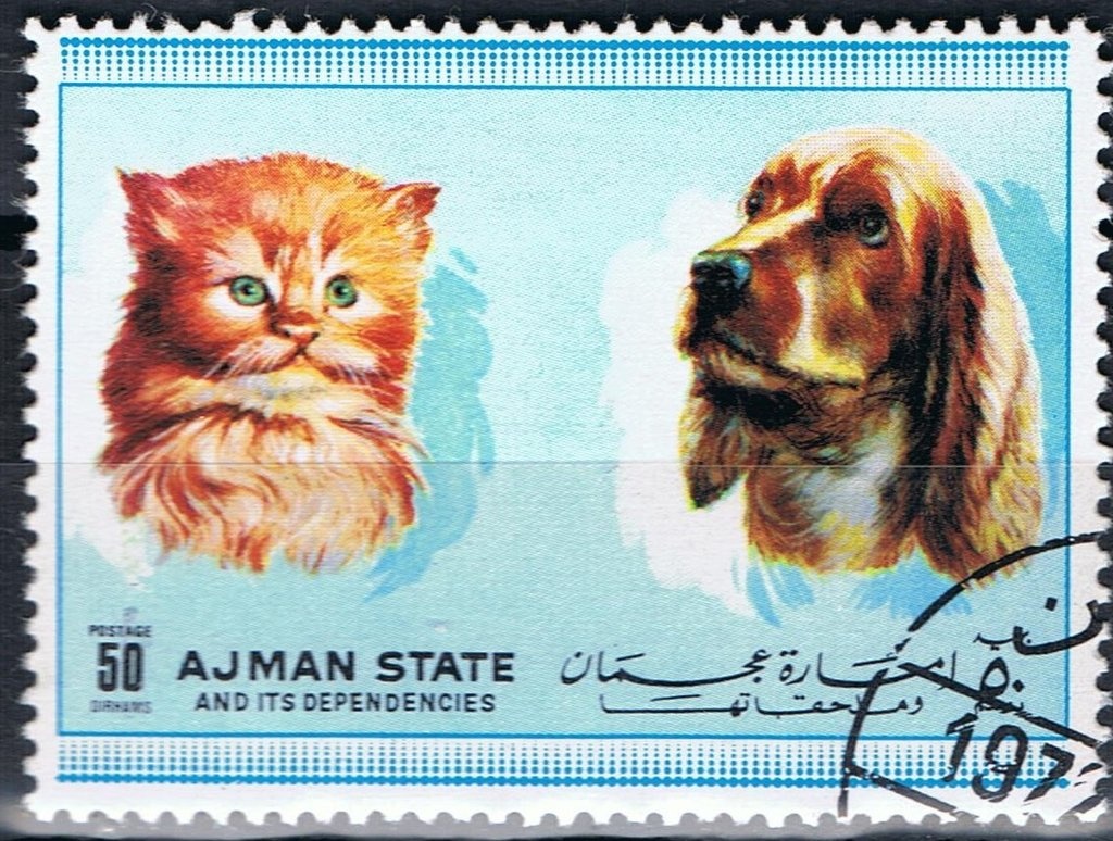 White-breasted Waterhen (Amaurornis phoenicurus)