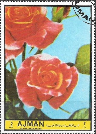 Astronaut on the moon