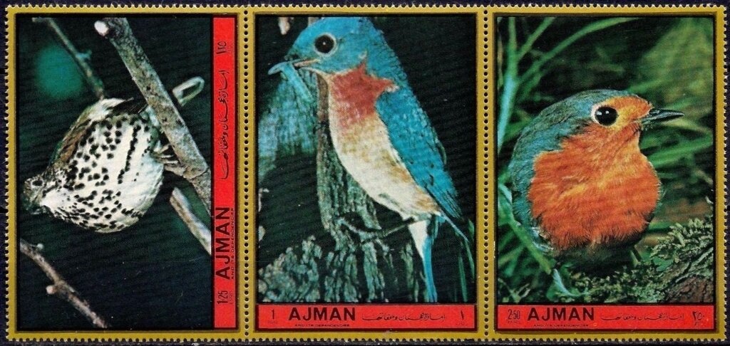 Councilor Madonna, by Luis Dalmau