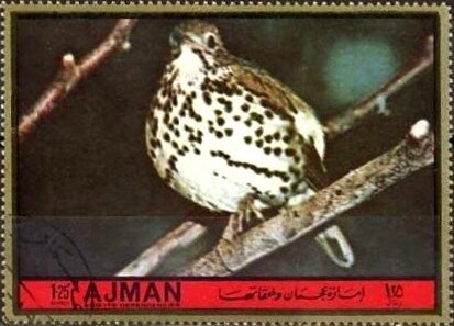 Melbourne; Laszlo Papp 1956