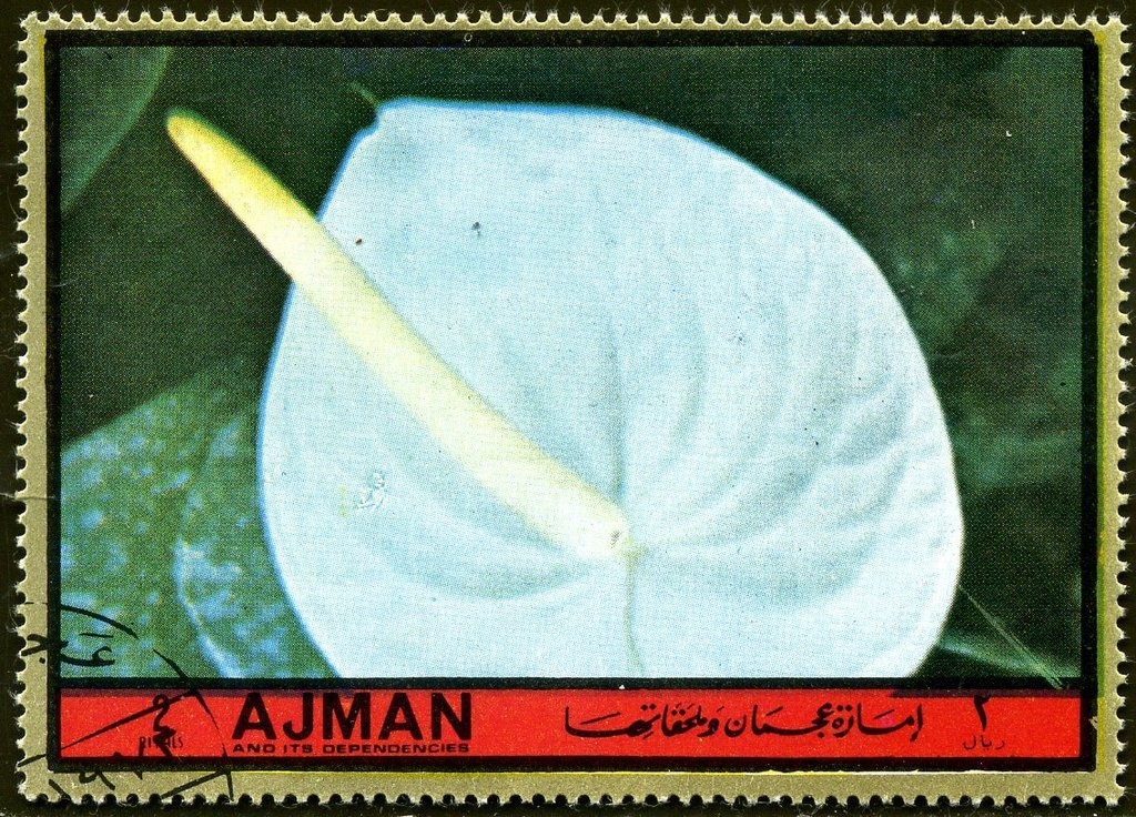 Portrait of a Young Man, Albrecht Dürer (1521)