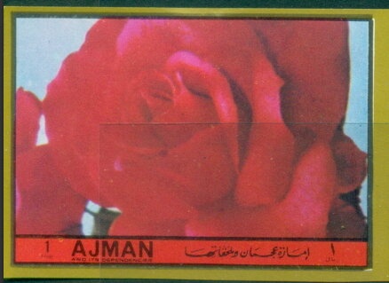 Monodactylus argenteus