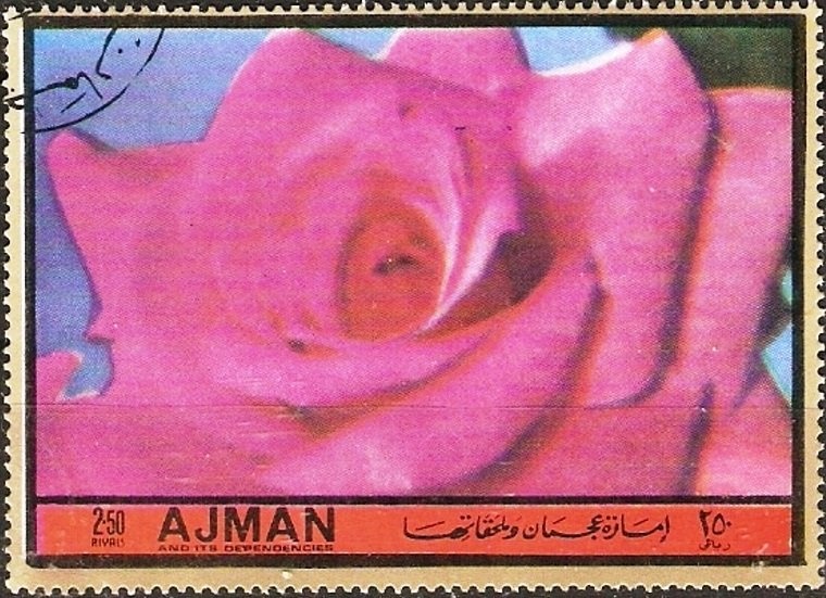 Portrait of a Woman, Albrecht Dürer