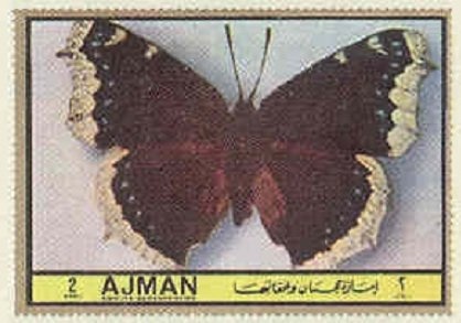 Graziano Mancinelli (1937-1992), Italy