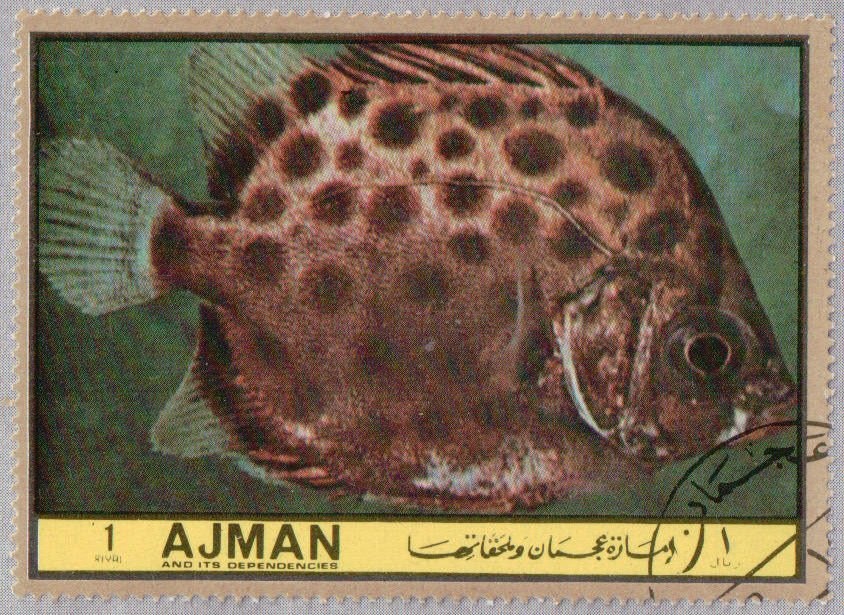 Trotskyist Infantry - Russia 1920