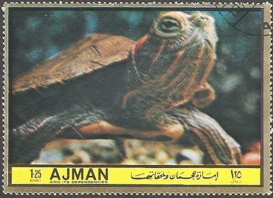 Ski Jumping - overprinted