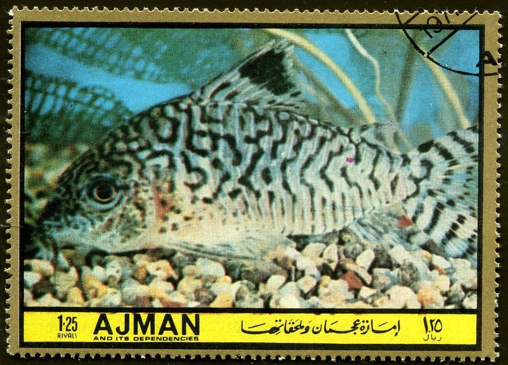 Stars and Stripes on the moon