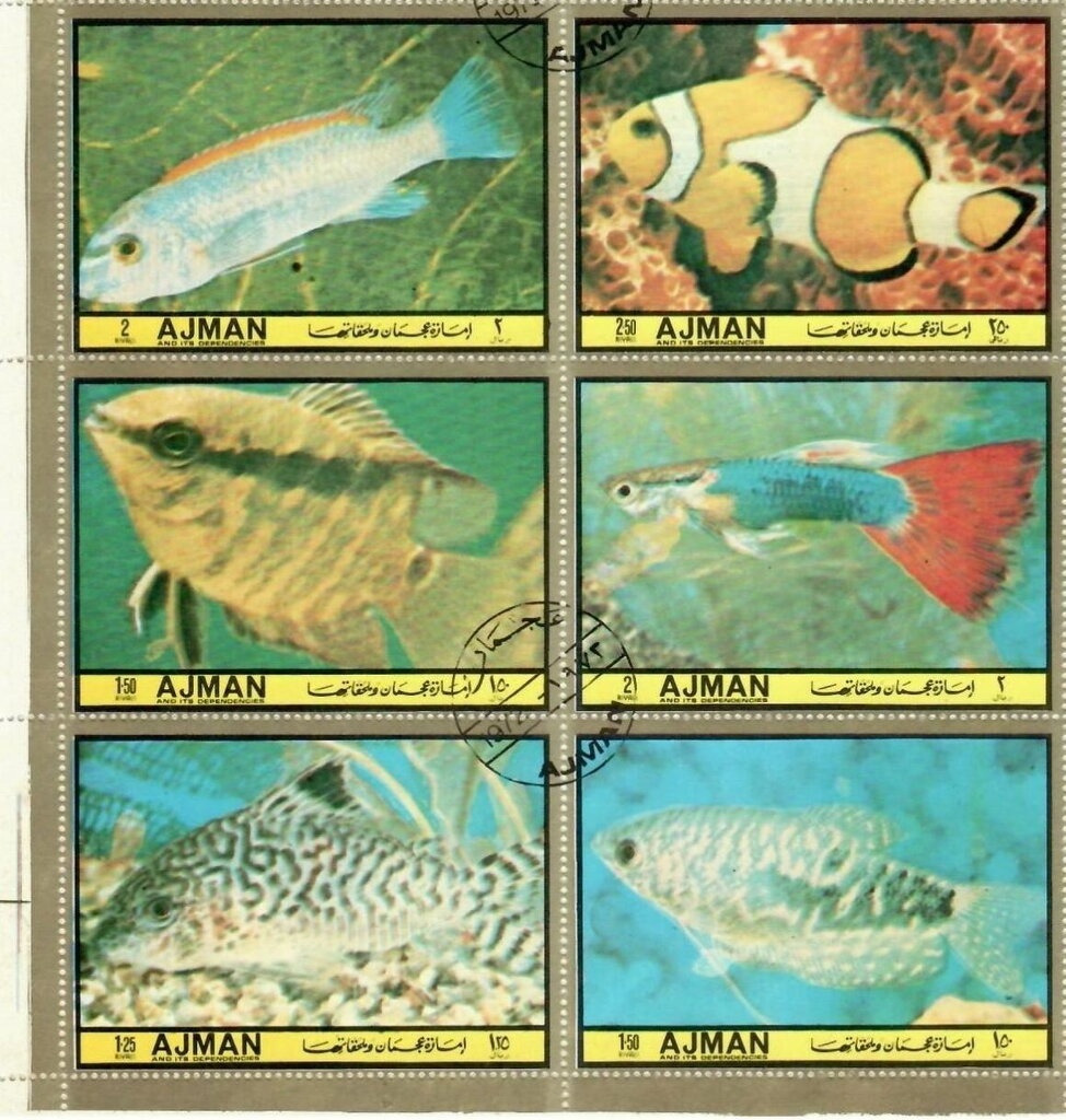 Birds and Flowers, Fish, Birds and a Cat