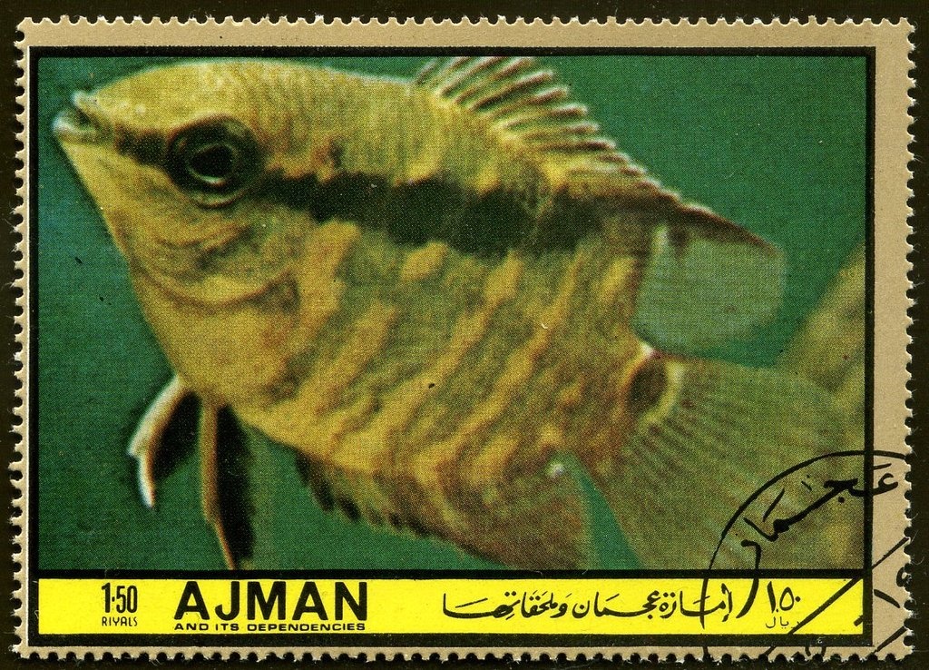 Buildings of Italy - se-tenant