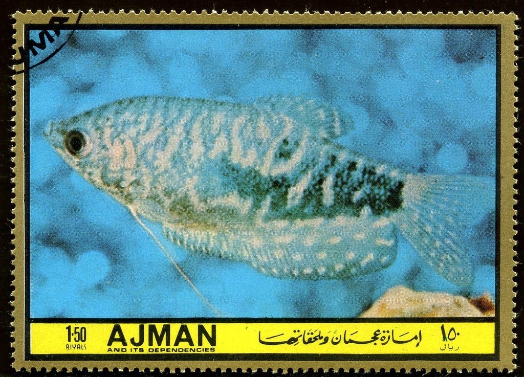 Willy Brandt (1913-1992), German President