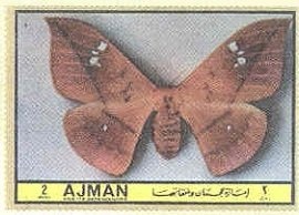 Frescoes by Raphael - se-tenant