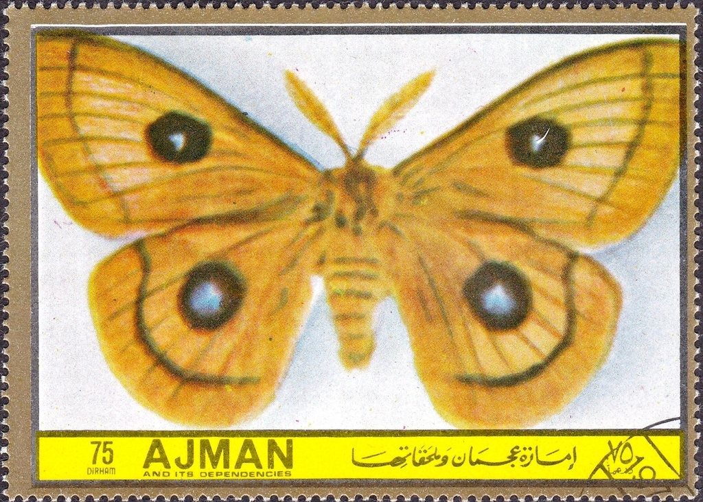 Jesus is nailed to the cross