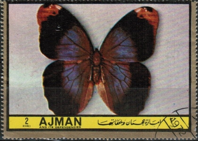 Napoleon in 1814 (detail), by Meissonnier