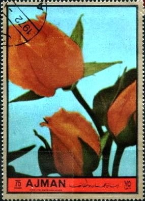 Councilor Madonna, by Luis Dalmau