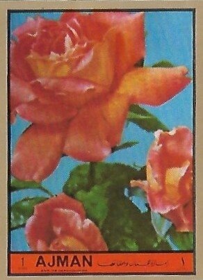 King Charles IX of France (1550-1574) of the House of Valois