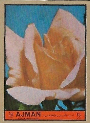 Astronaut in front of flag on the moon