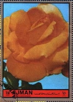 Resurrection of Christ from Sodom